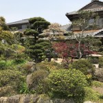 藤方結城売土地（更地渡し）